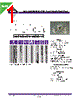 PCSFW630-R22M Datasheet HTML 1Page - Allied Components International 