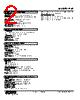 FVF-4A-R Datasheet HTML 2Page - M-System Co.,Ltd. 