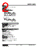 M8PA-D44-R Datasheet HTML 2Page - M-System Co.,Ltd. 