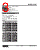 W2XT-1Z1V2-R Datasheet HTML 3Page - M-System Co.,Ltd. 
