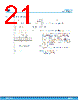 STMIPID02 Datasheet HTML 21Page - STMicroelectronics 