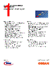 LO5411-R Datasheet HTML 1Page - Infineon Technologies AG 