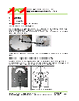 77778-R1 Datasheet HTML 11Page - VAT Group AG 