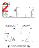 LL103C Datasheet HTML 2Page - Semtech Corporation 