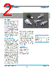 31-342-RFX Datasheet HTML 2Page - Amphenol Corporation 