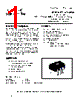 PVT412ASPBF Datasheet HTML 1Page - International Rectifier 