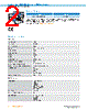 IRS100-R53MF41 Datasheet HTML 2Page - SICK AG 
